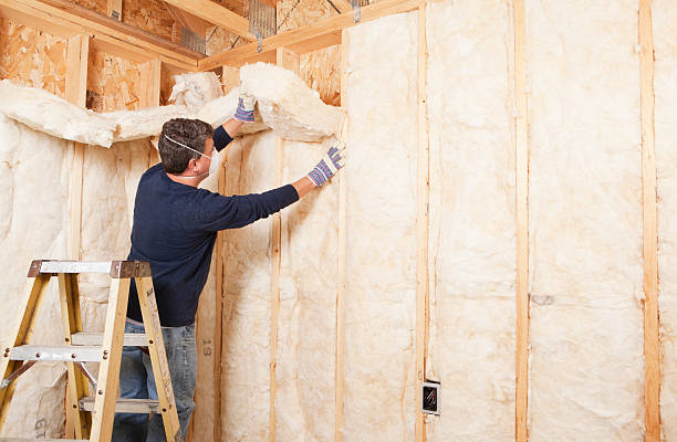 Best Basement Insulation  in Sullivan, IN